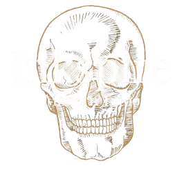 Inkspire